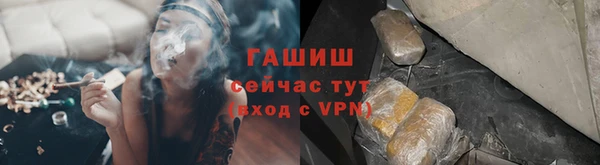 PSILOCYBIN Навашино