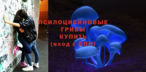 соль ск Надым