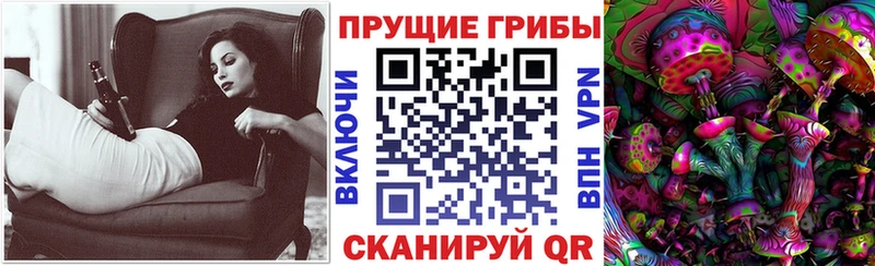 наркошоп Пенза Псилоцибиновые грибы прущие грибы